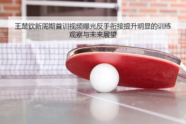 王楚钦新周期首训视频曝光反手衔接提升明显的训练观察与未来展望